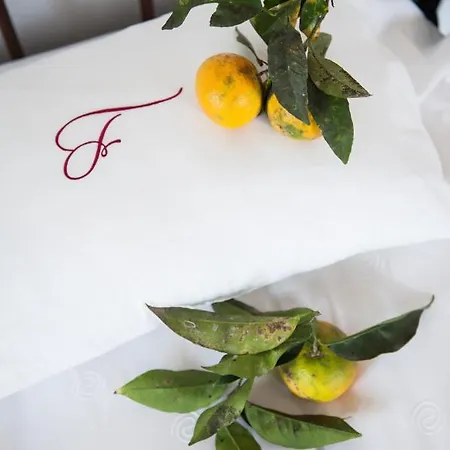 Quinta De Freixieiro 乡村民宿 *