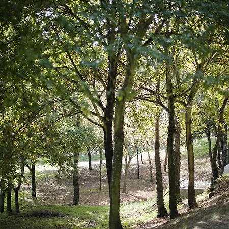 乡村民宿 Quinta De Freixieiro