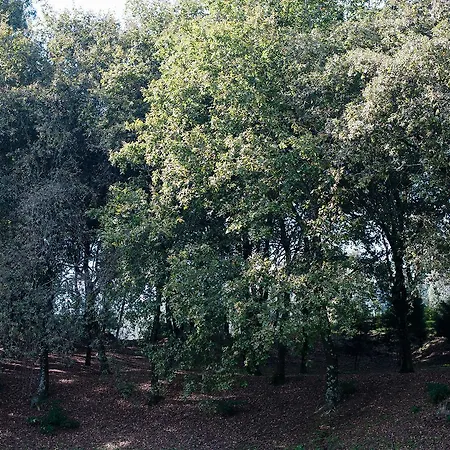 Country house Quinta De Freixieiro